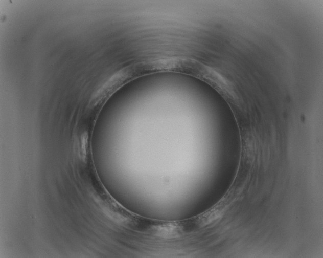X0000062920118200601181254