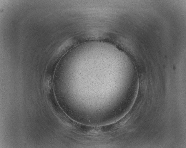 X0000062920119200601181254