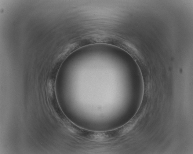 X0000062920121200601181254