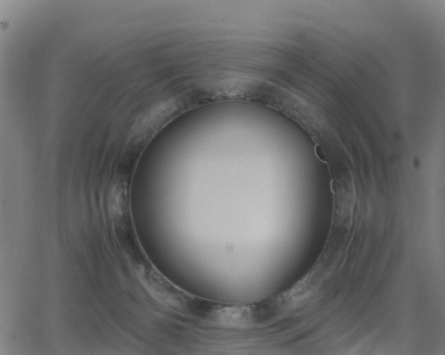 X0000062920126200601181254