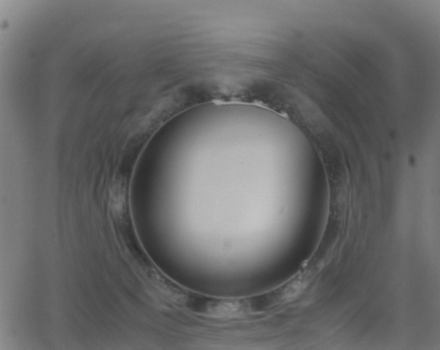 X0000062920129200601181254