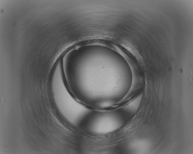 X0000062920156200601181253