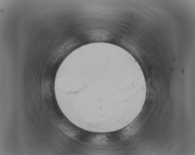X0000062920162200601181253