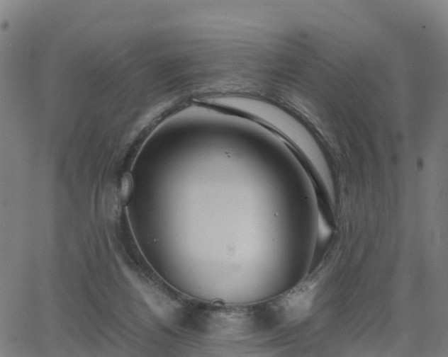 X0000062920164200601181253