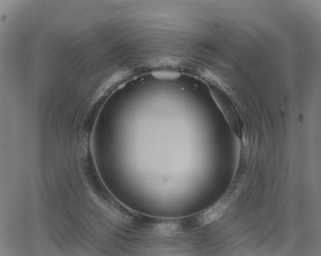 X0000062920168200601181253