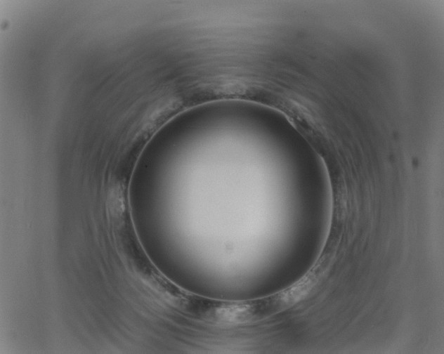 X0000062920172200601181253