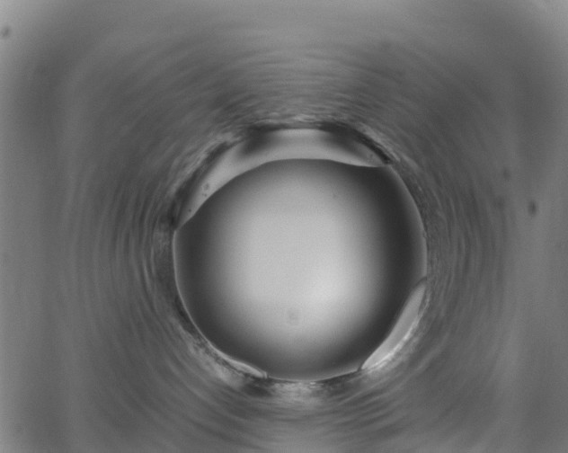 X0000062920192200601181254