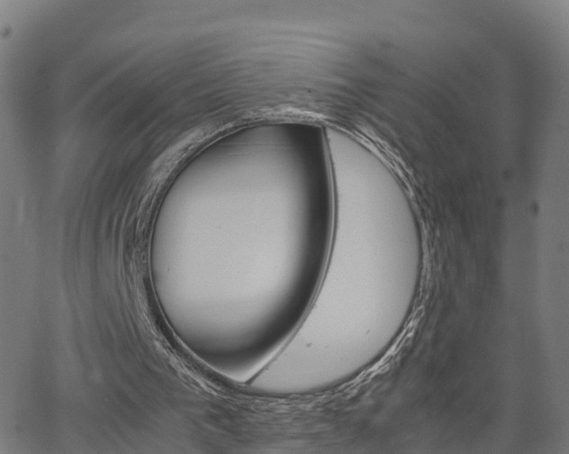 X0000062920193200601181253