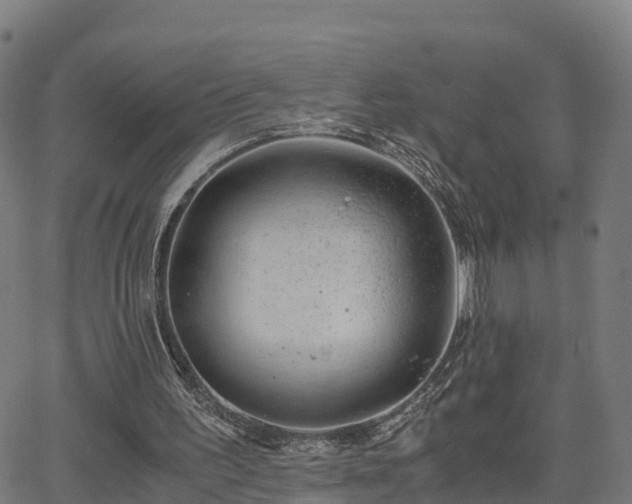 X0000062920195200601181253