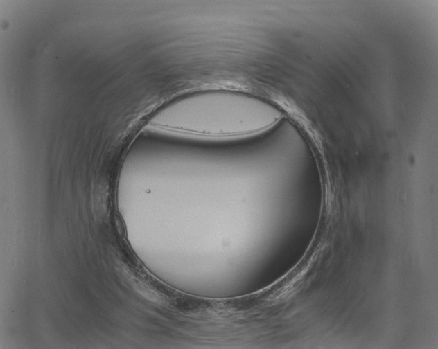 X0000062920201200601181253