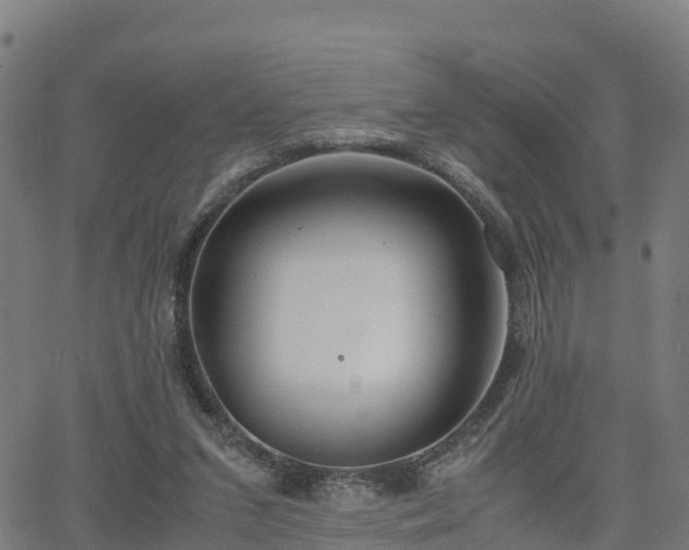 X0000062920207200601181253
