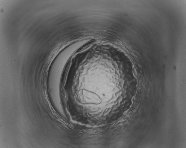 X0000062920241200601181251