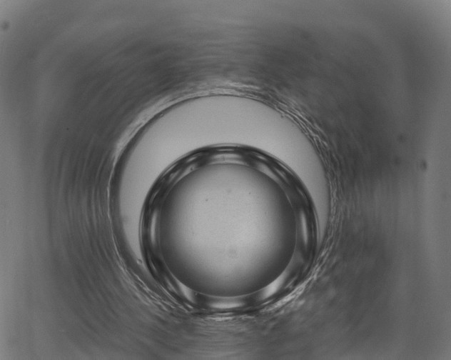 X0000062920244200601181251