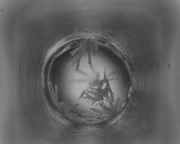 X0000062920246200601181251