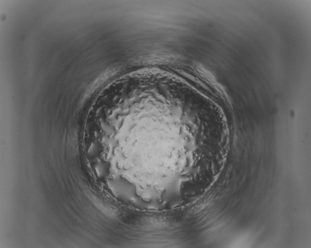X0000062920250200601181252