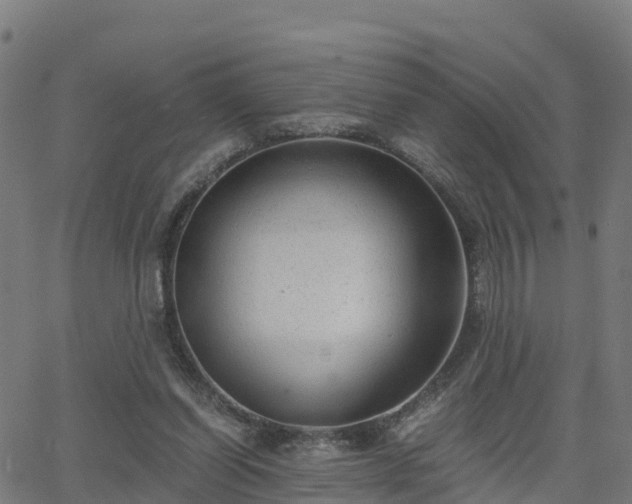 X0000062920254200601181252