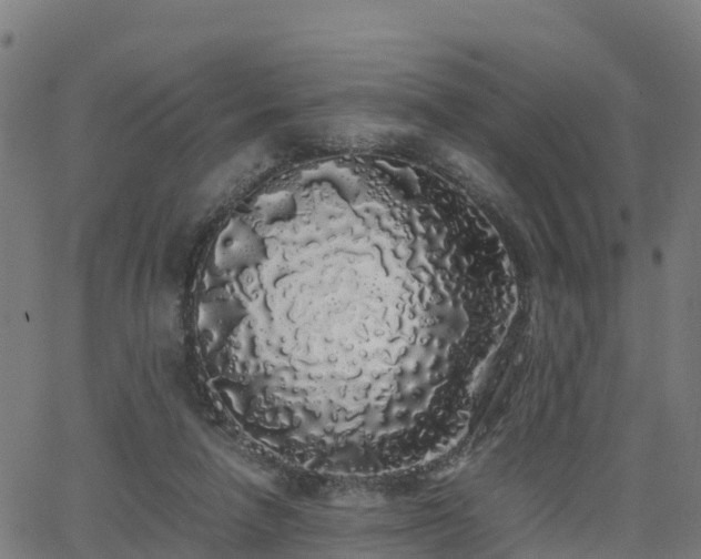 X0000062920258200601181252