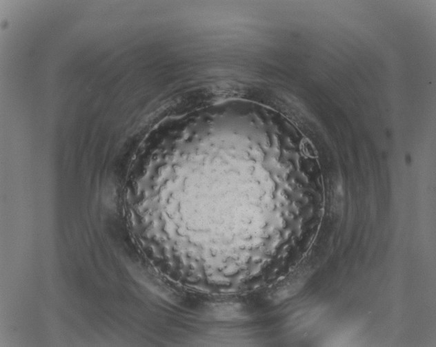 X0000062920266200601181252