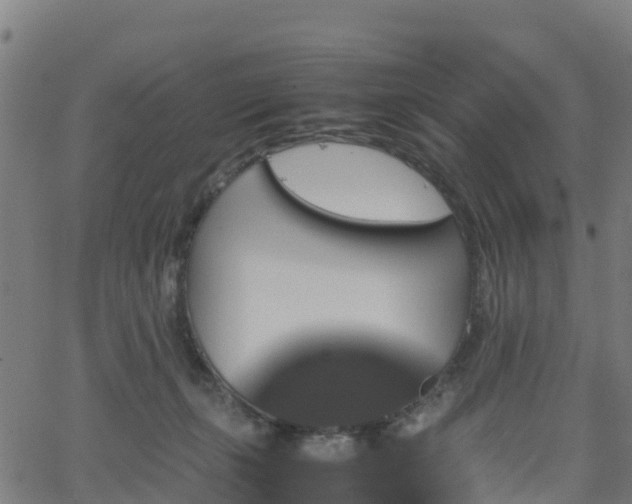 X0000062920271200601181252