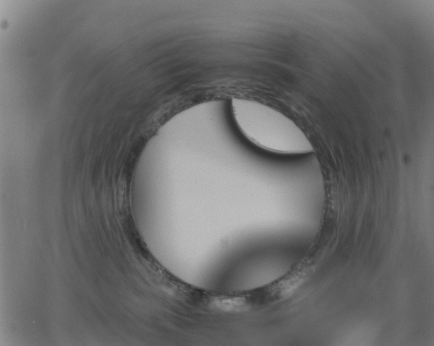 X0000062920283200601181252