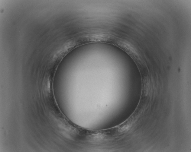 X0000062920310200601181251