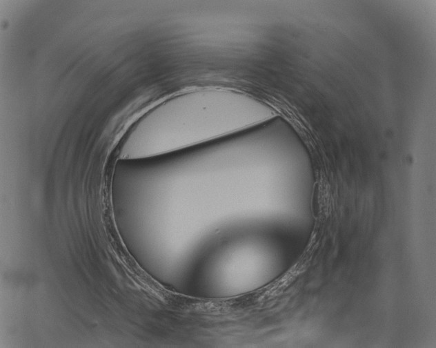 X0000062920338200601181250