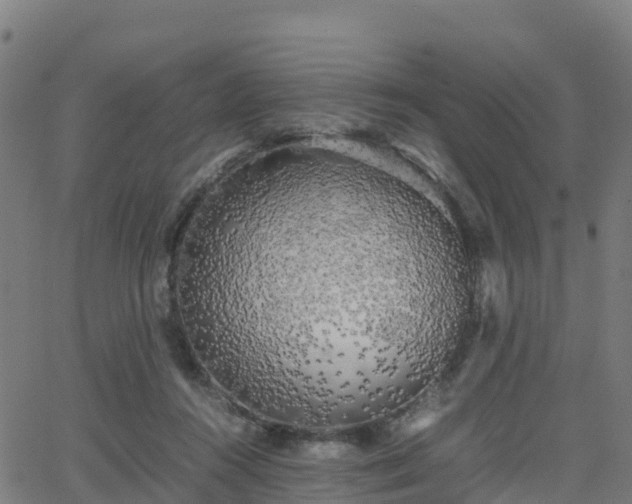 X0000062920360200601181250