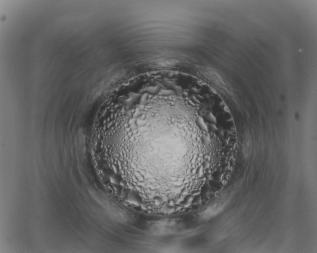 X0000062920366200601181250