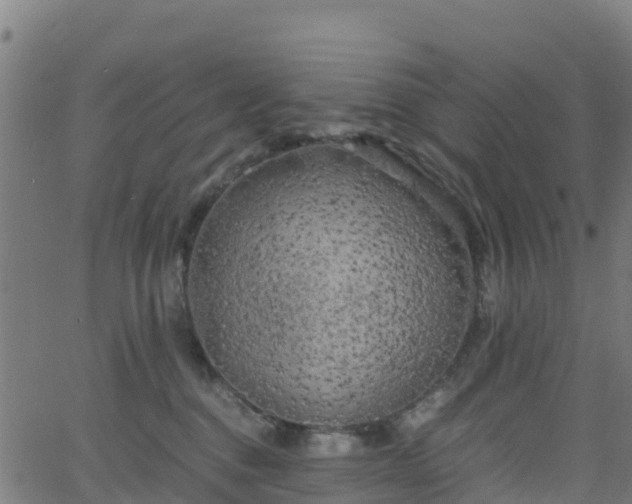X0000062920376200601181250