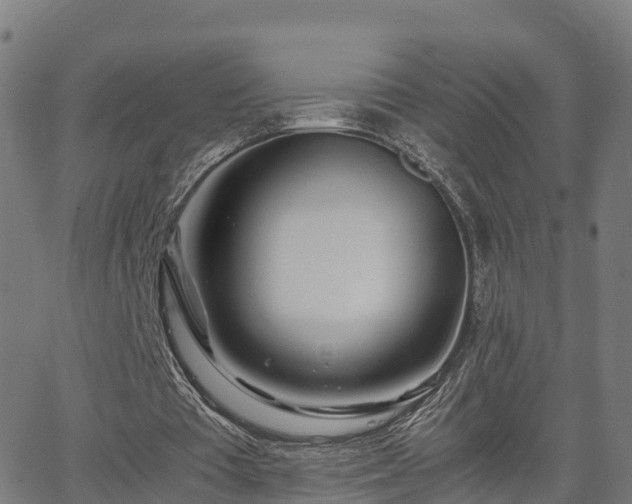 X0000062920385200601181250