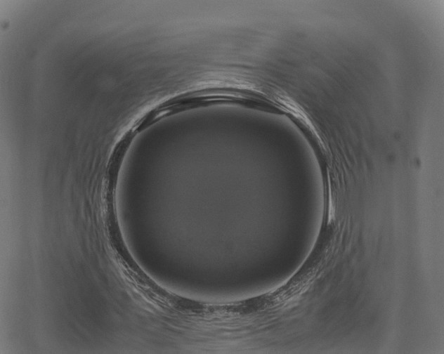 X0000062920387200601181250