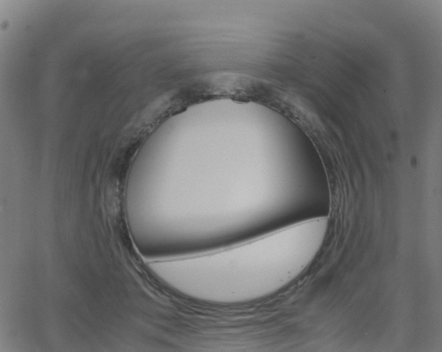 X0000062920413200601181249