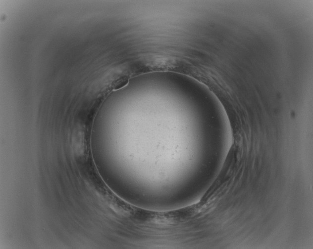 X0000062920416200601181249