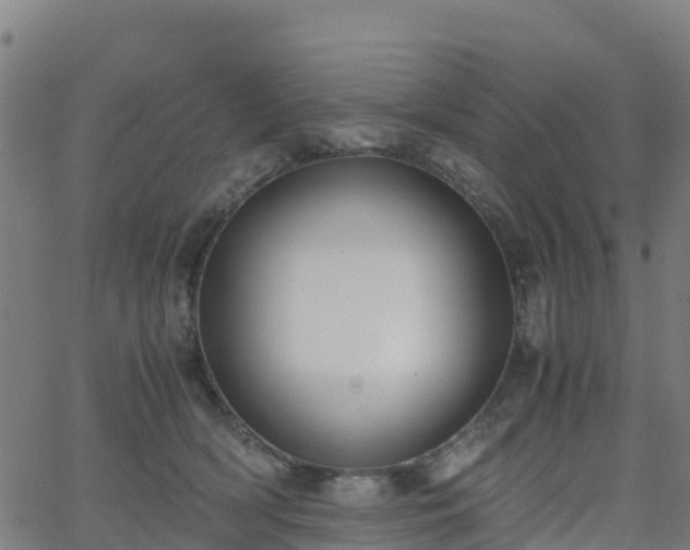 X0000062920418200601181249