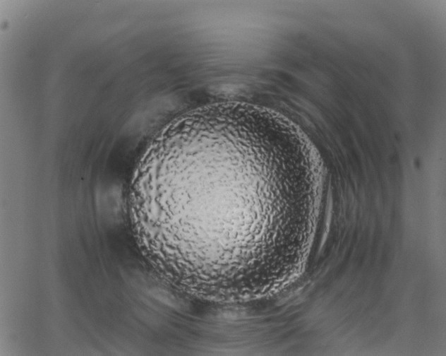 X0000062920420200601181249