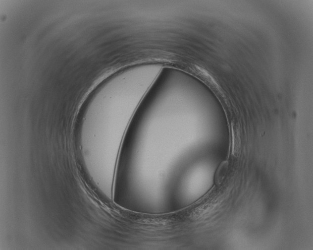 X0000062920435200601181248