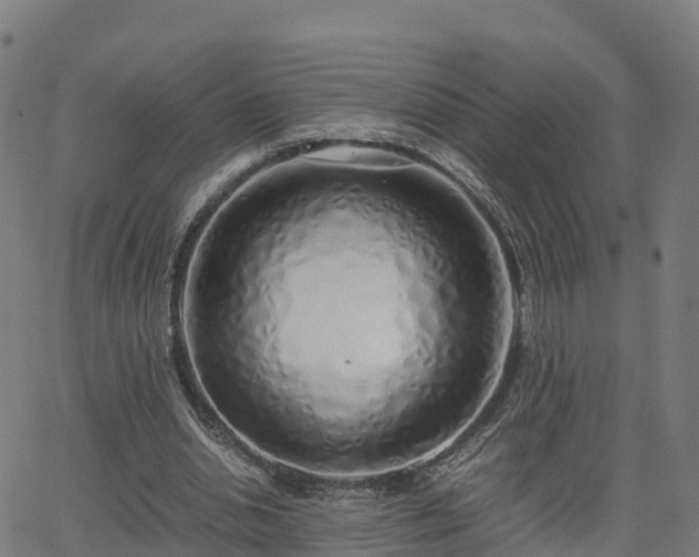 X0000062920438200601181248