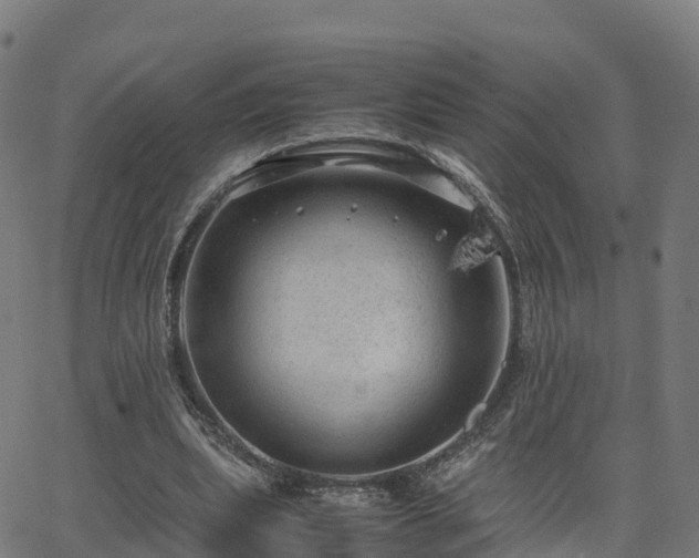 X0000062920439200601181248