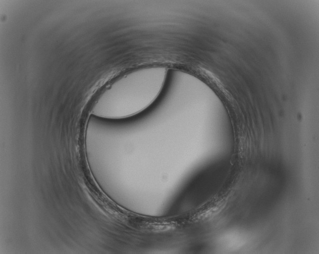 X0000062920443200601181248