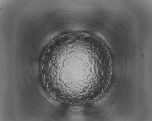 X0000062920447200601181248
