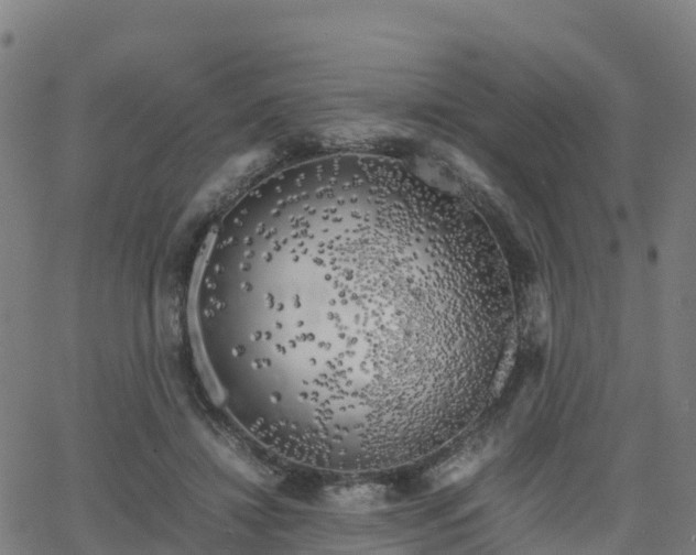 X0000062920452200601181249