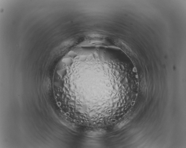 X0000062920459200601181249