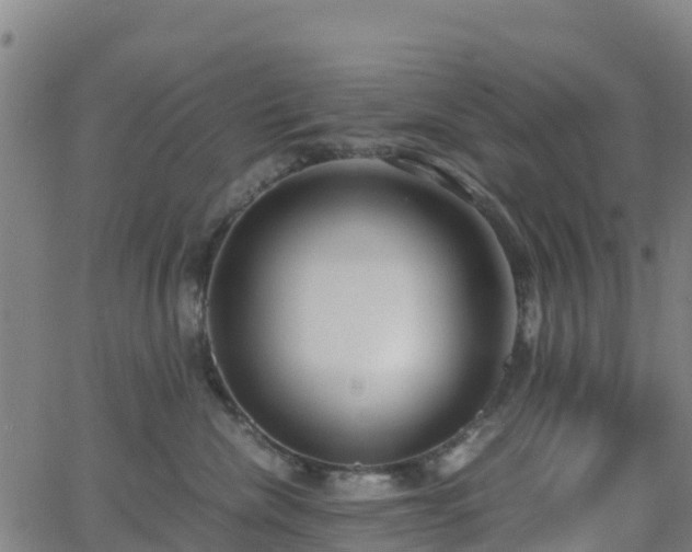 X0000062920476200601181249