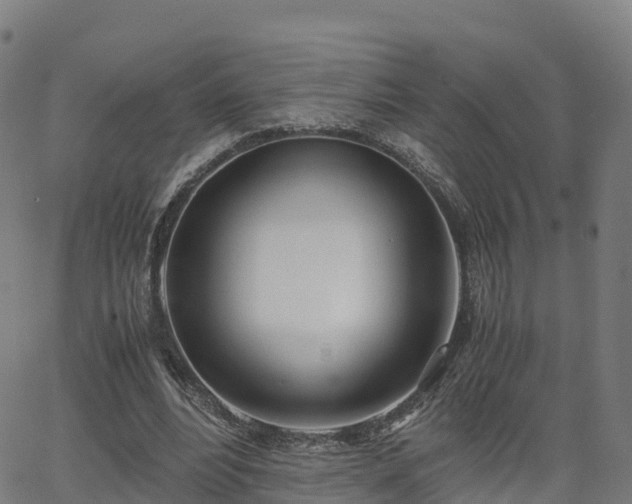 X0000062920488200601181248