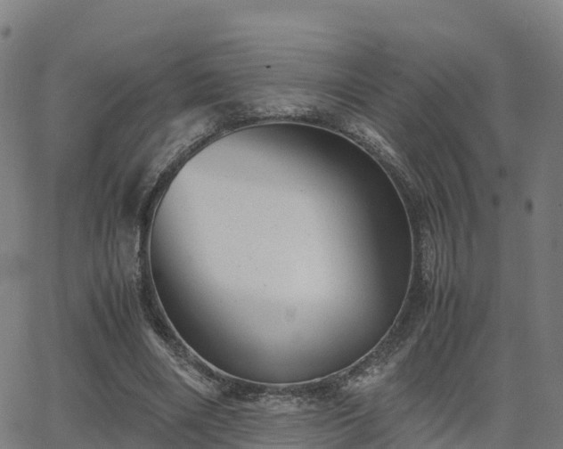 X0000062920490200601181248