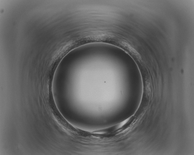 X0000062920493200601181248
