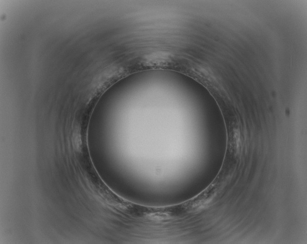 X0000062920508200601181248