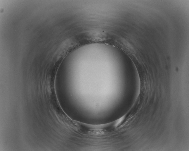 X0000062920512200601181248