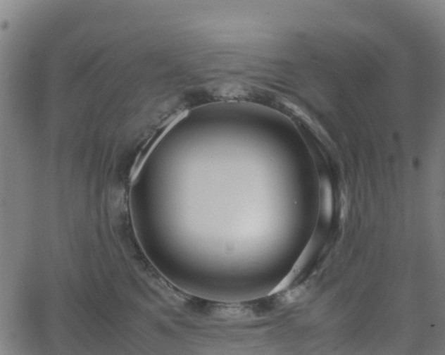X0000062920521200601181248