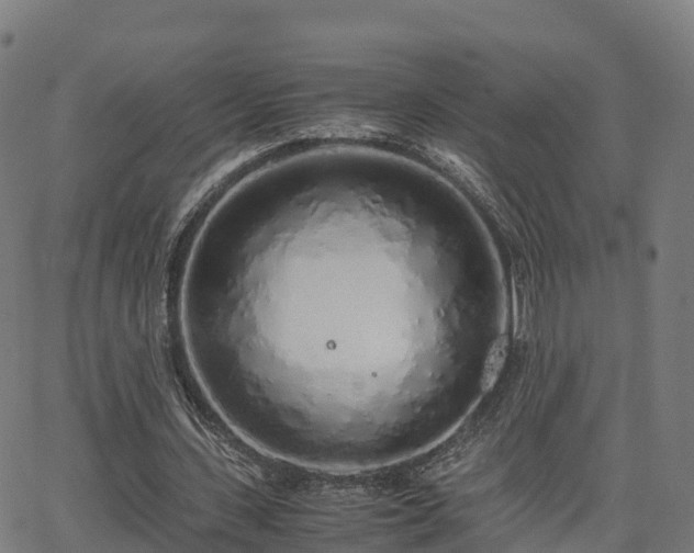 X0000062920531200601181247